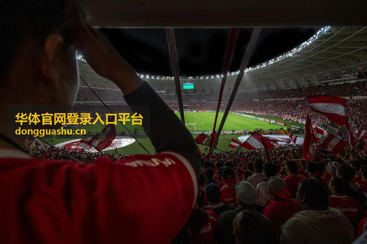 华体官网登录入口平台账号安全设置清单封面